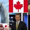 NY1's Pat Kiernan Tells Us How to Celebrate Canada Day